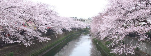 ほうとう手作り体験