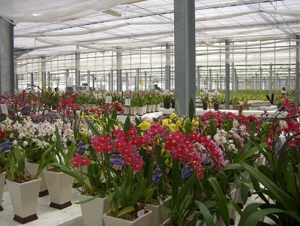 ネクストツアー食欲満喫ぐるめツアー